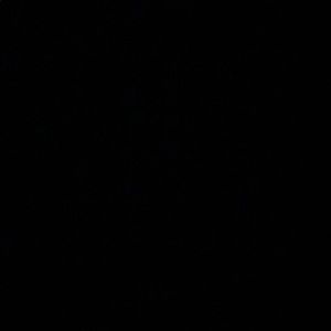 Meet your Posher, Cale